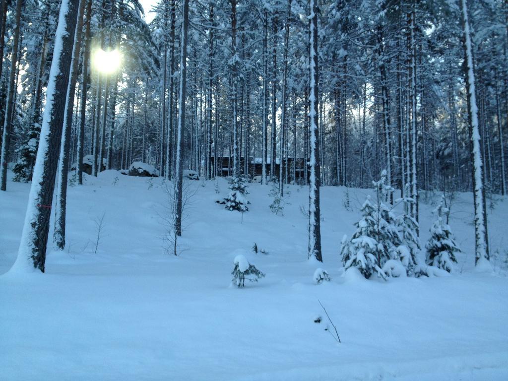 Kultainen Kaava Cottages Padasjoki Kültér fotó